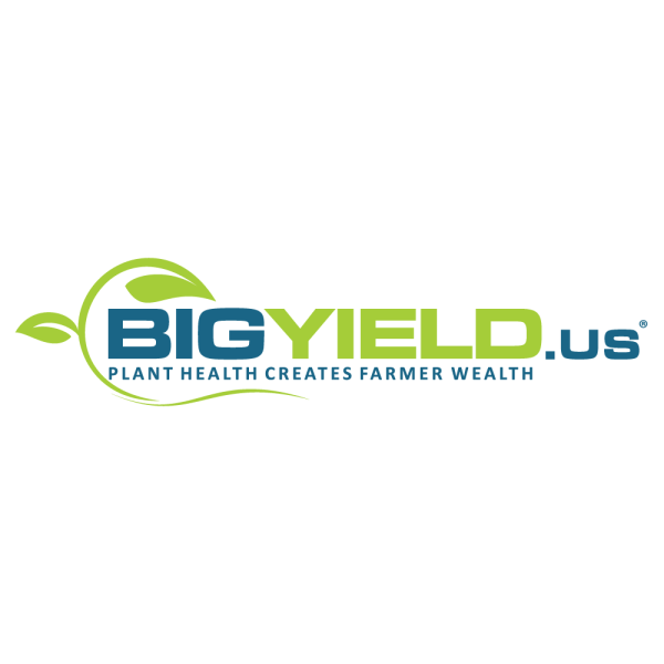 BigYield.us